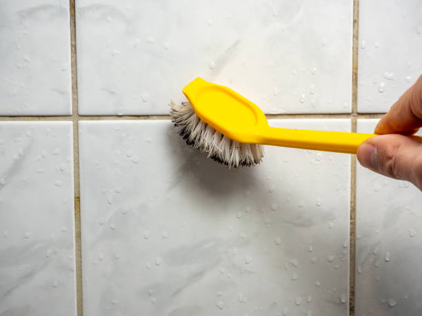 Best Mold Damage Repair  in Charlack, MO