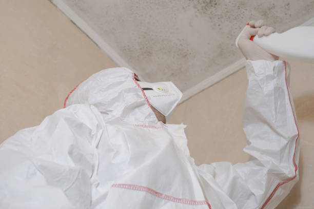 Best Commercial Mold Removal  in Charlack, MO
